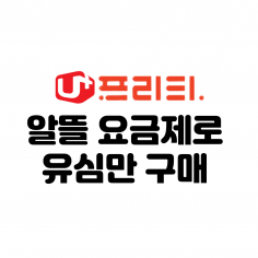 LG U+ 프리티 유심만구매